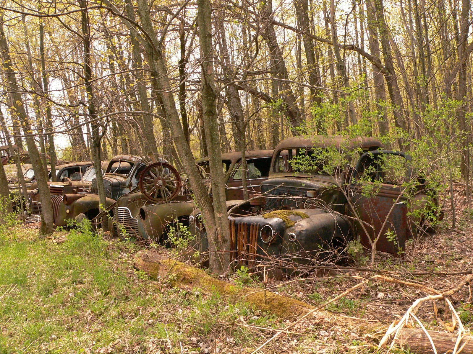 old classic cars