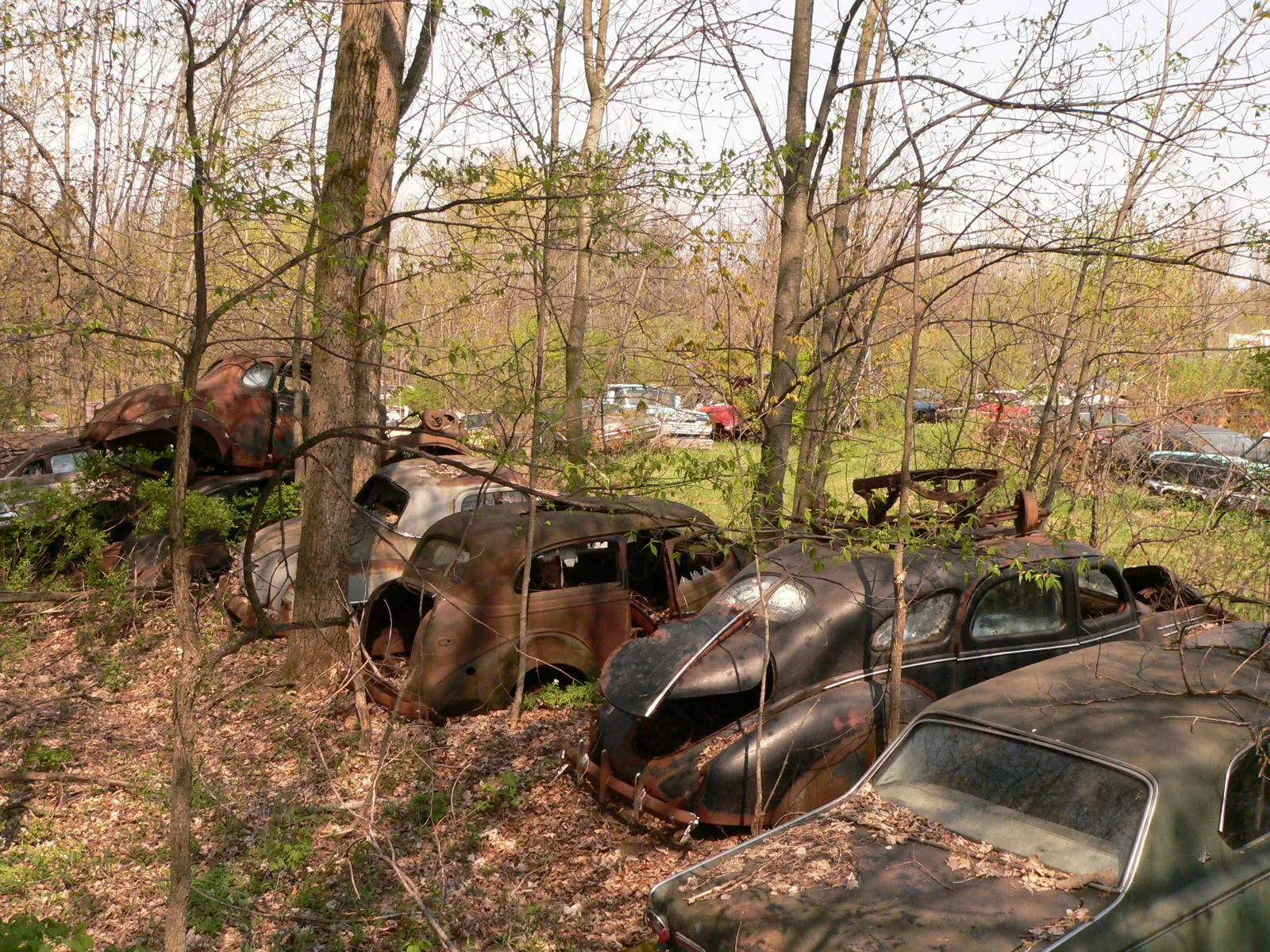 abandoned classic cars
