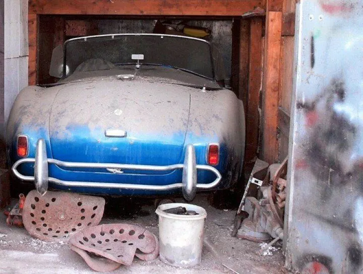 Shelby Cobra barn find