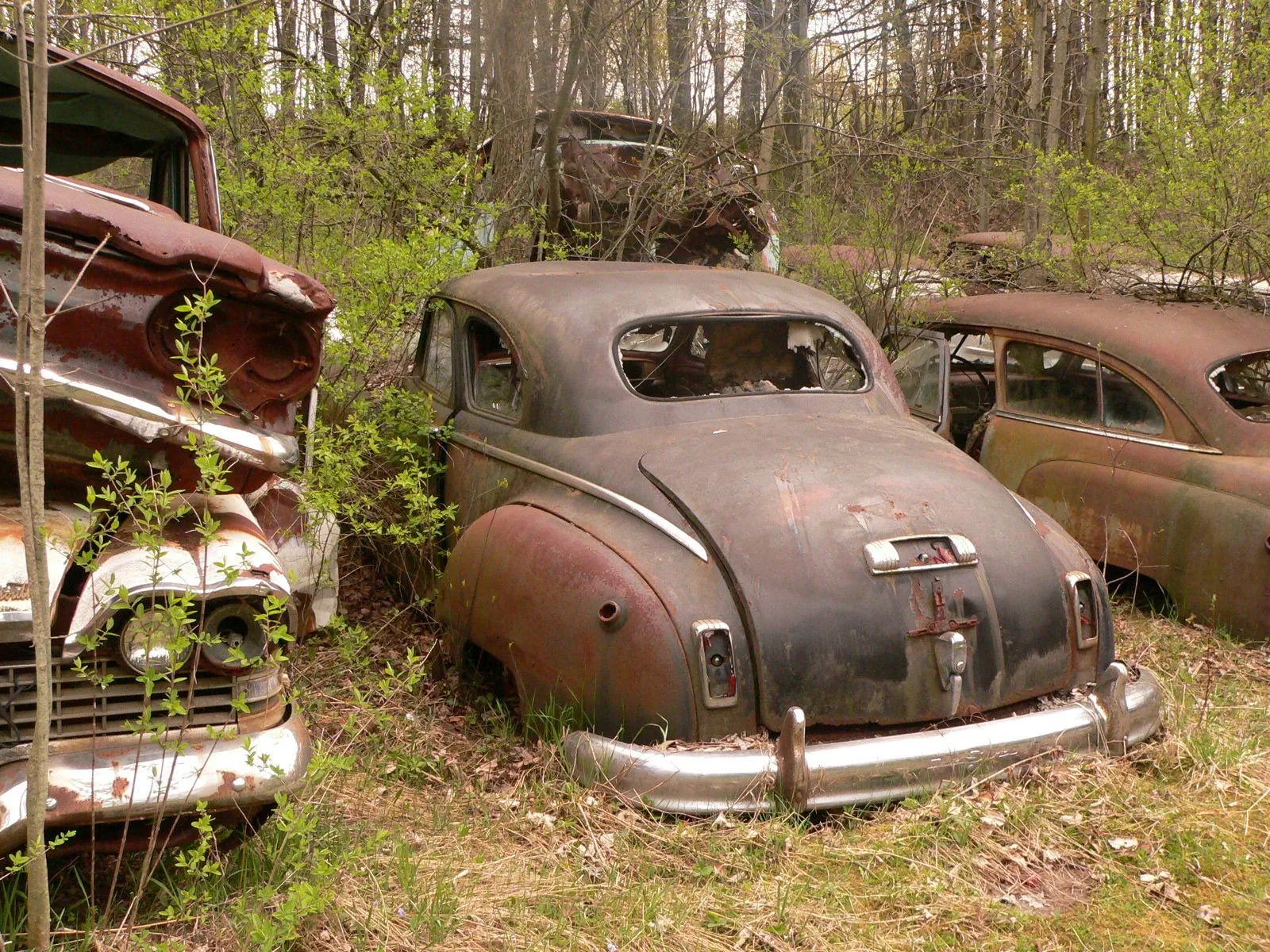 abandoned classic cars
