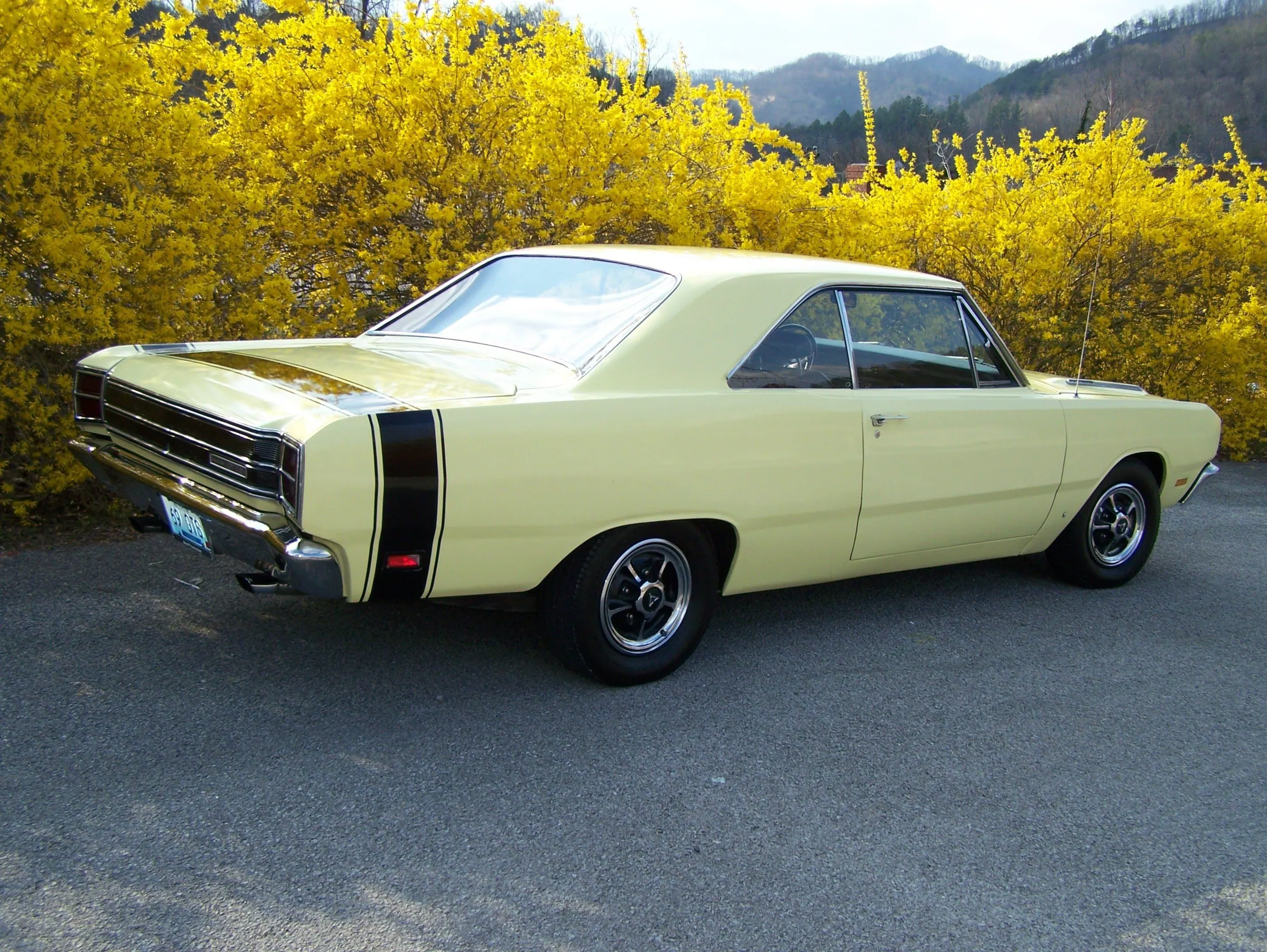 1969 Dodge Dart