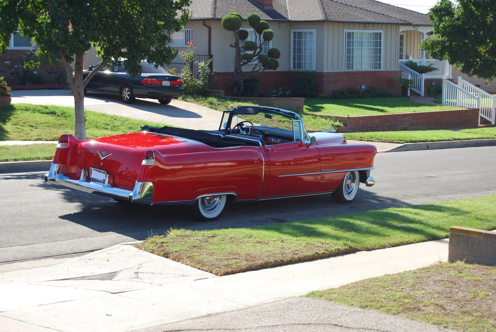 54 Cadillac Convertible