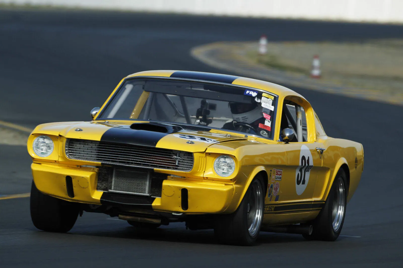 1966 Shelby