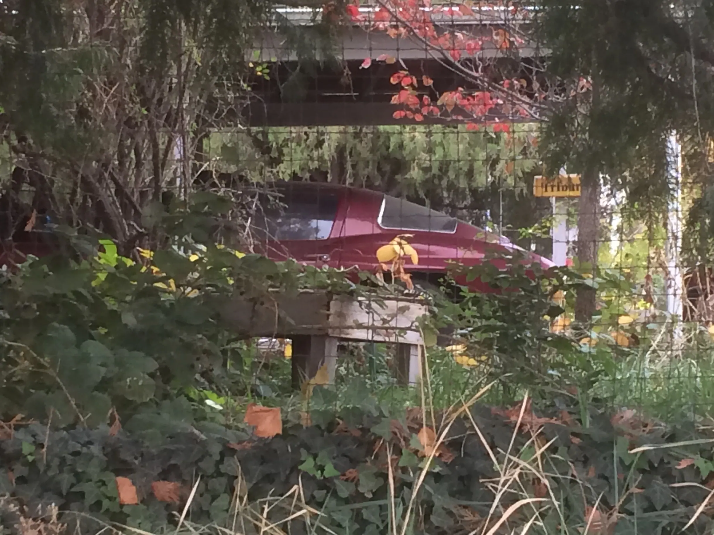 1966 Corvette Barn Find