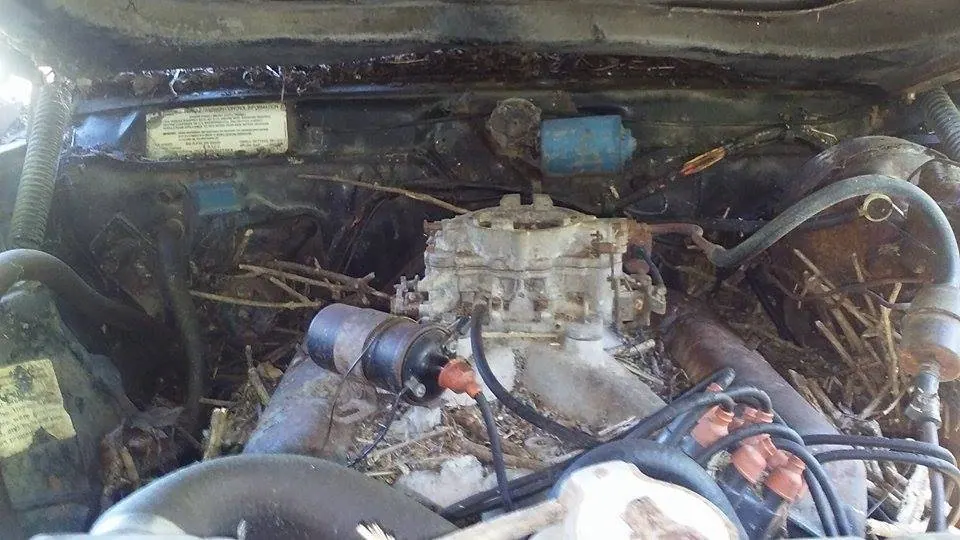AMC Javelin AMX edition Engine