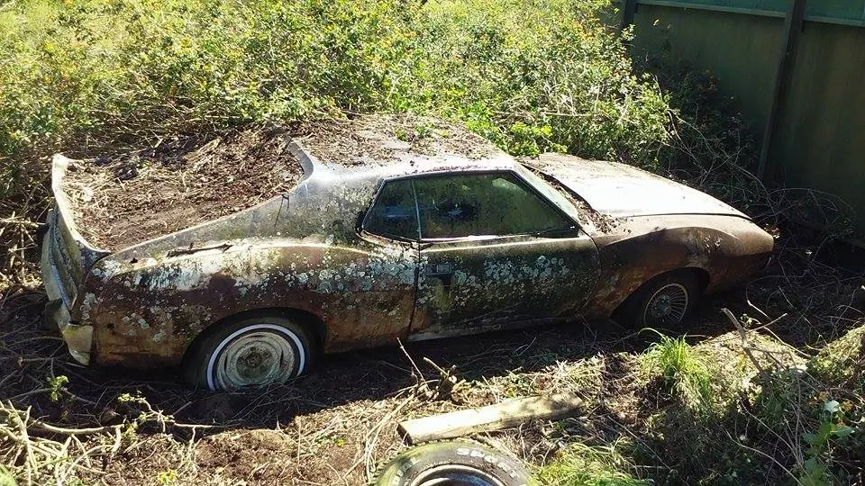 AMC Javelin AMX edition Barn Find