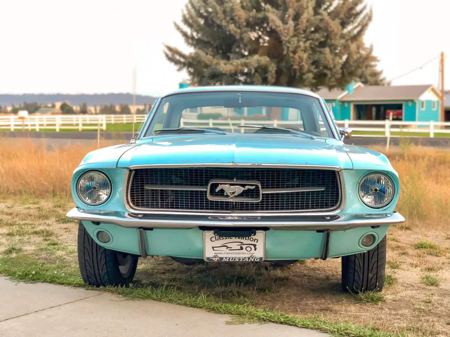 1967 Mustang Front