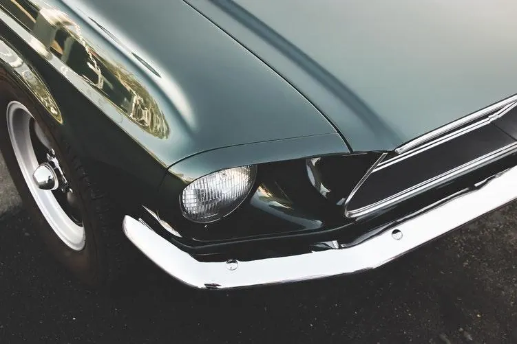 Mustang Photo