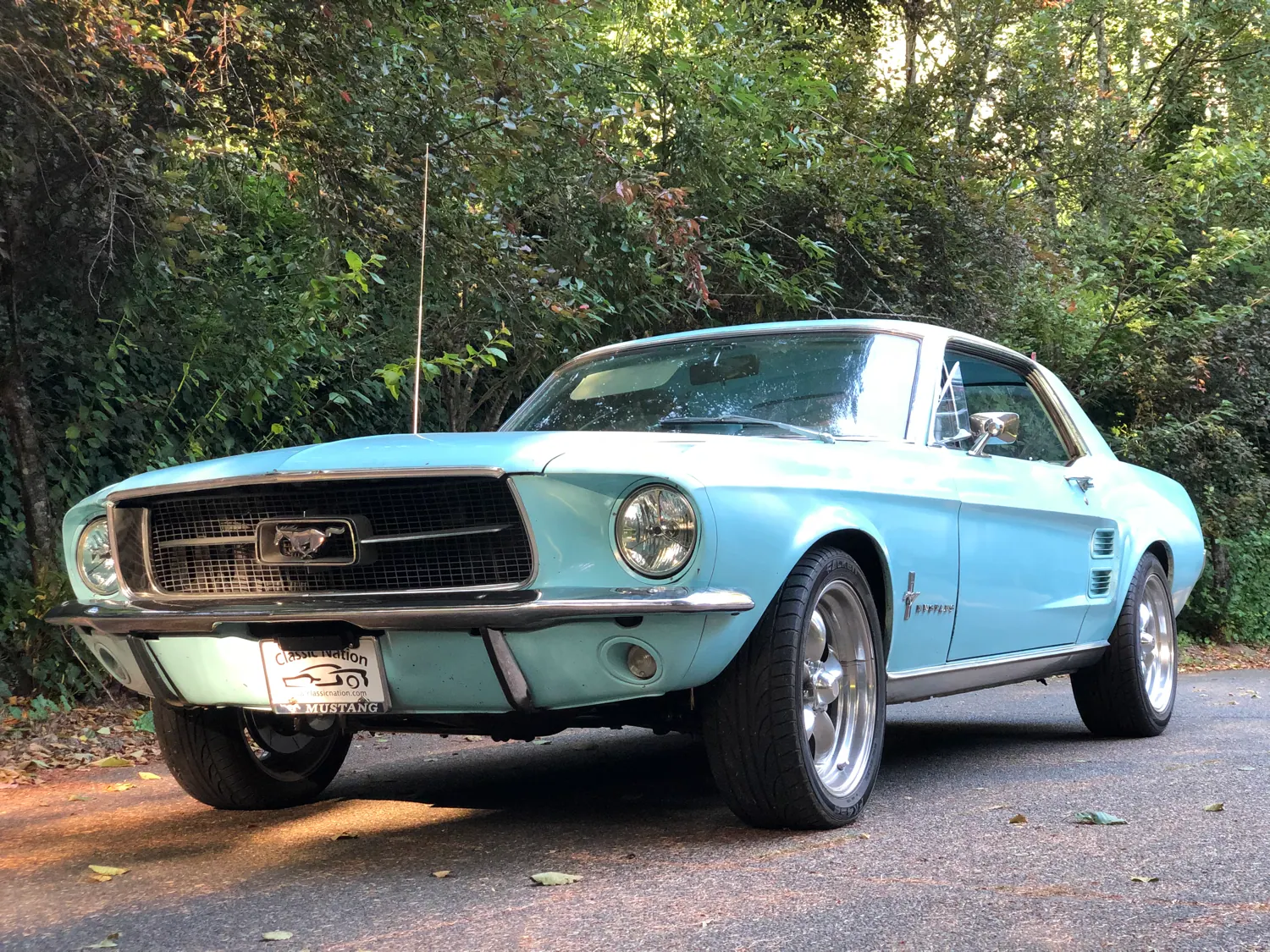 frost turquoise Mustang