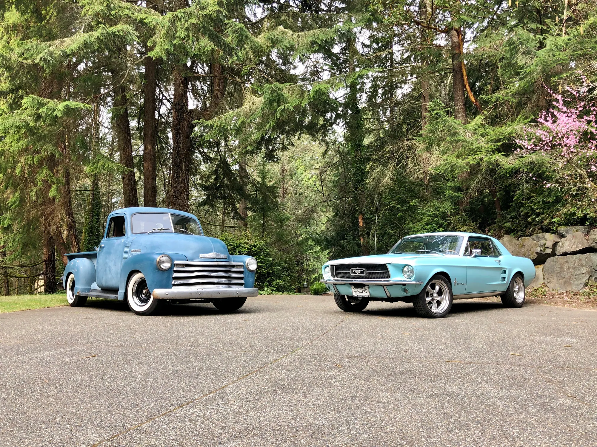chevy vs ford cars
